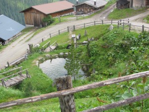 Holzalm auf dem Weg der 4-Almen Wanderung